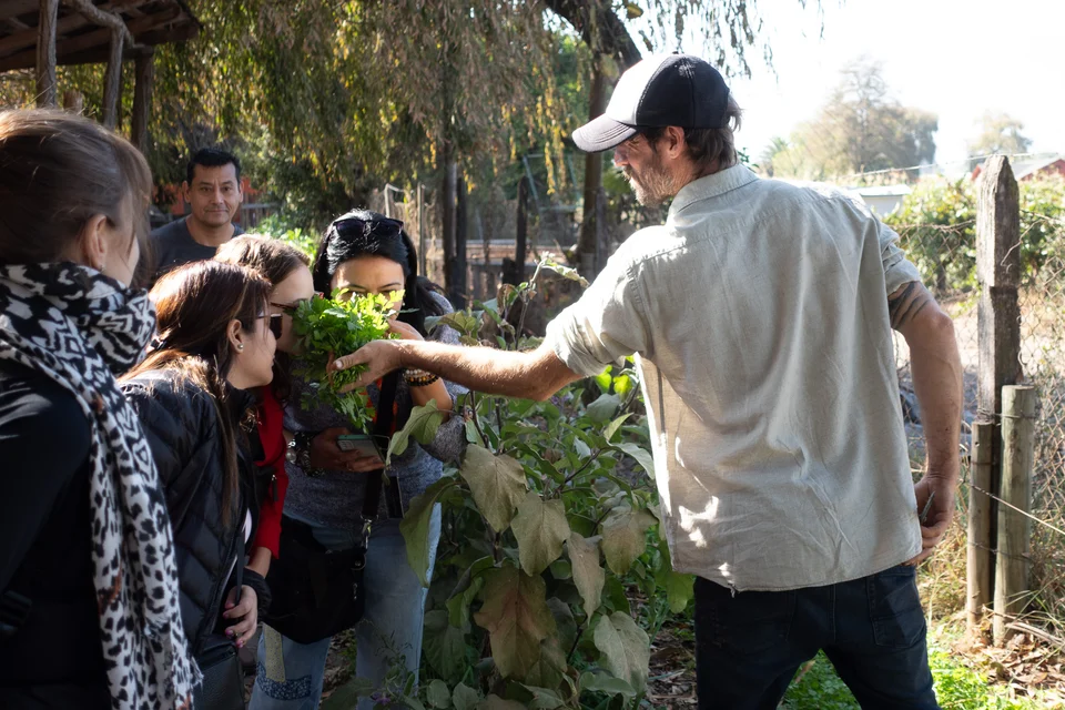 Anfitrión comparte conocimientos de su huerta con un pequeño grupo de visitantes